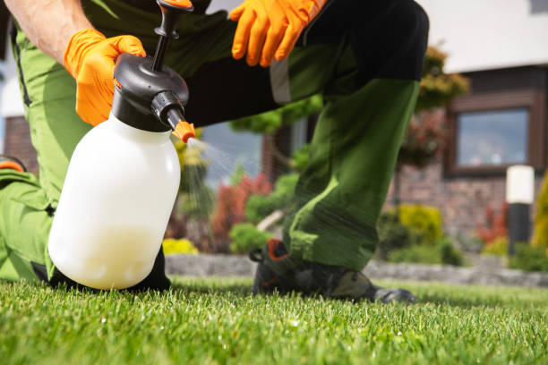Best Pest Control Near Me  in Wilton Center, CT