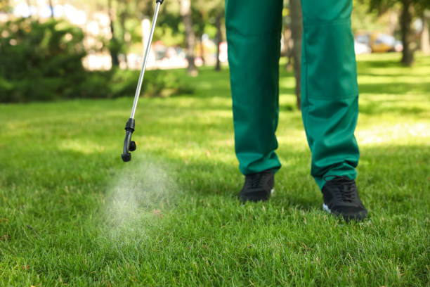 Best Pest Inspection Near Me  in Wilton Center, CT