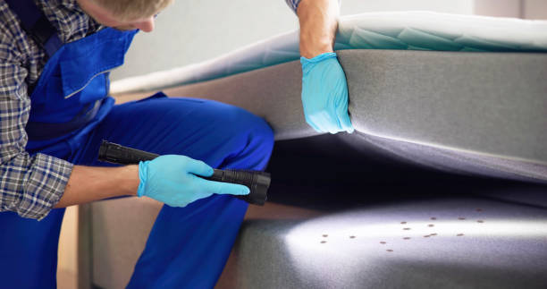 Best Residential Pest Control  in Wilton Center, CT